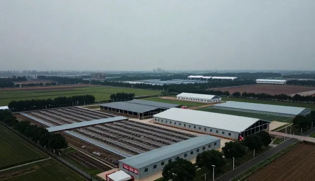 来图定制产品的性能表现与适用场景解析